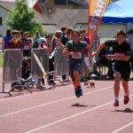 2014 dsWs