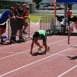 2014 dsWs
