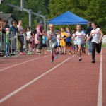 2015 dsWs
