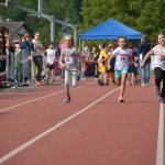 2015 dsWs
