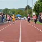 2015 dsWs
