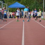2015 dsWs
