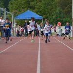 2015 dsWs