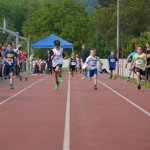 2015 dsWs