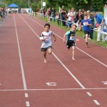 2015 dsWs