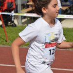 2015 dsWs