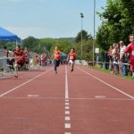2015 dsWs