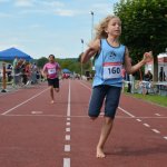 2015 dsWs