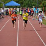 2015 dsWs