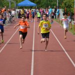 2015 dsWs