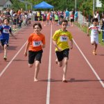 2015 dsWs