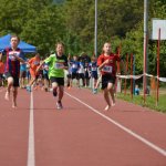 2015 dsWs