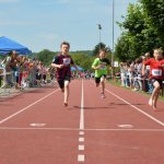 2015 dsWs