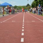 2015 dsWs