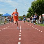 2015 dsWs