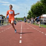 2015 dsWs