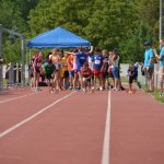 2015 dsWs