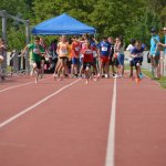 2015 dsWs