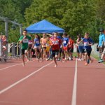 2015 dsWs
