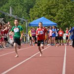 2015 dsWs