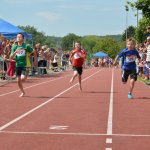 2015 dsWs