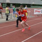 2015 dsWs