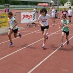 2015 dsWs