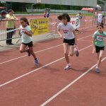 2015 dsWs