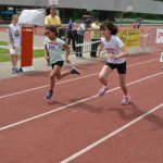 2015 dsWs