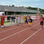 2015 dsWs