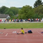 2015 dsWs