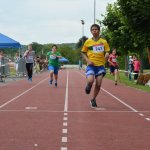 2015 dsWs
