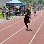 2015 dsWs