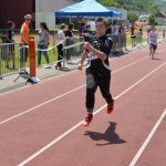 2015 dsWs