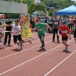 2015 dsWs