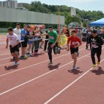 2015 dsWs