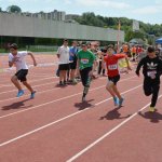 2015 dsWs