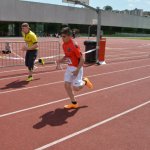 2015 dsWs