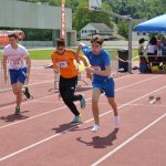 2015 dsWs