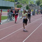 2015 dsWs