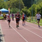 2015 dsWs
