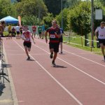 2015 dsWs