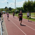 2015 dsWs