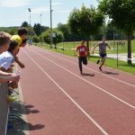 2015 dsWs