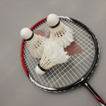 2019 Badminton AR FR